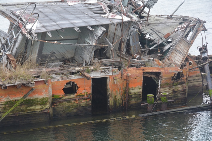 The Mary D. Hume Shipwreck